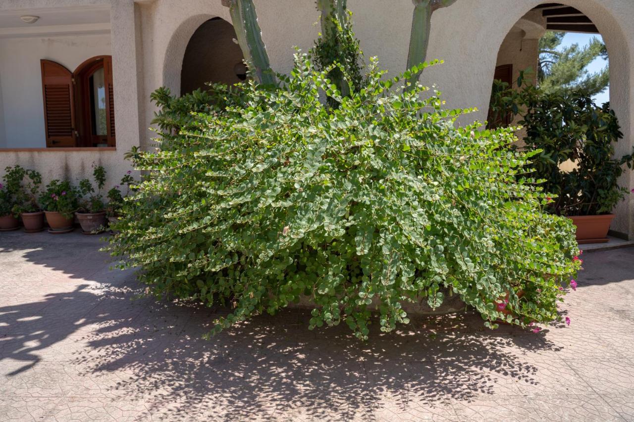 Bed and Breakfast Terrazza Sul Plemmirio Сиракузы Экстерьер фото